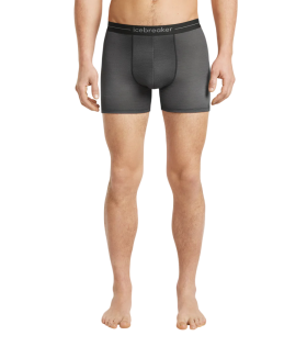 Боксерки Icebreaker Merino 150 Anatomica Boxers Transitions