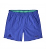 Шорти Patagonia Baggies 5